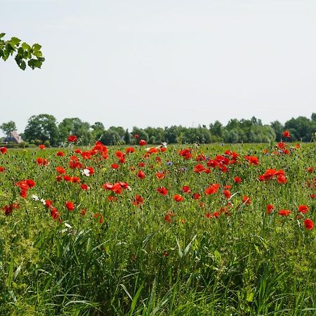 Gastenverblijf Eenigenburg Extérieur photo