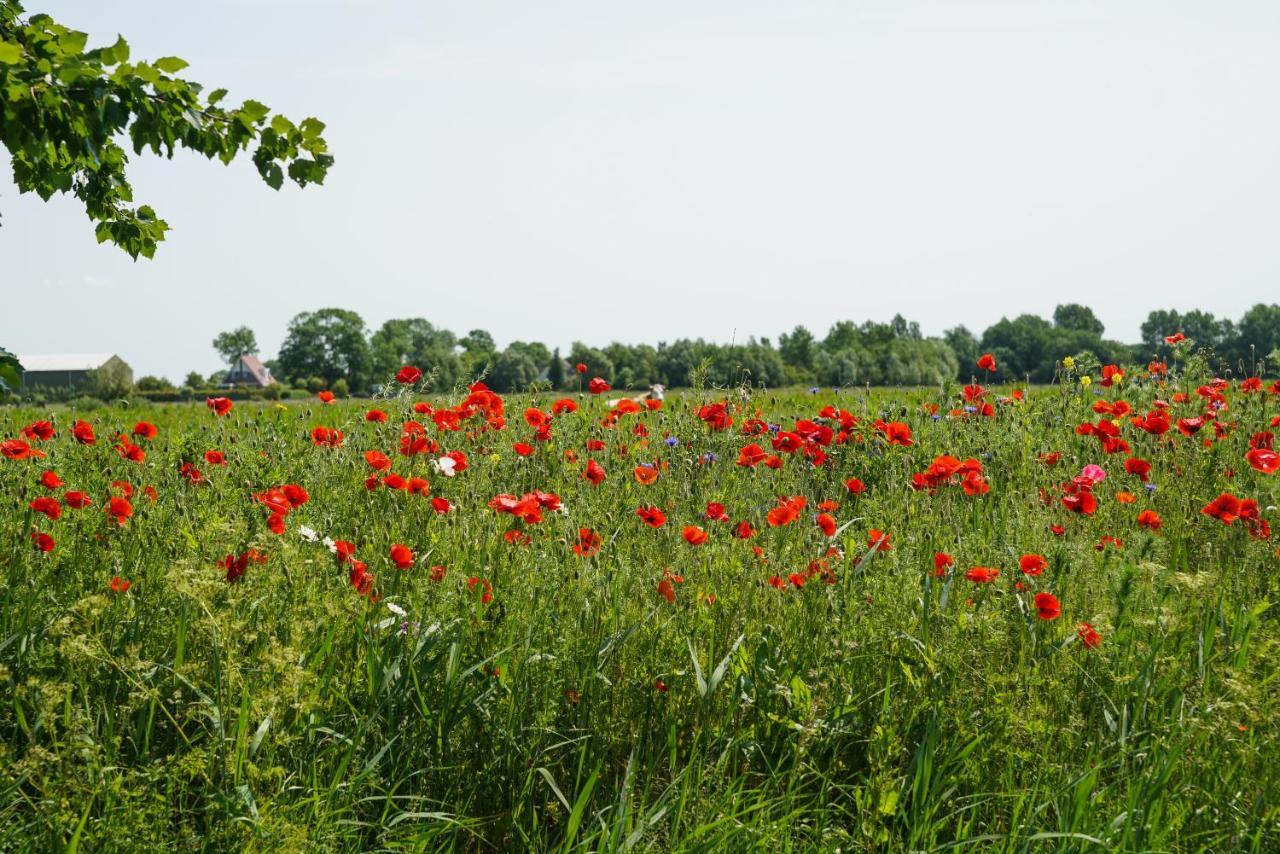 Gastenverblijf Eenigenburg Extérieur photo